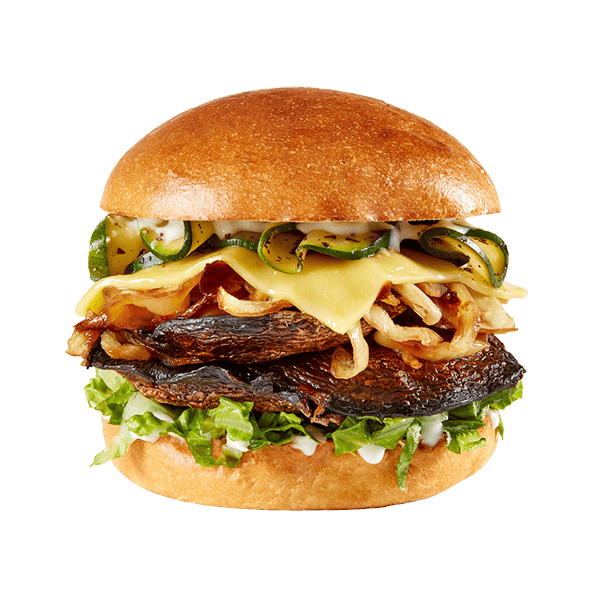 Burger galaxy